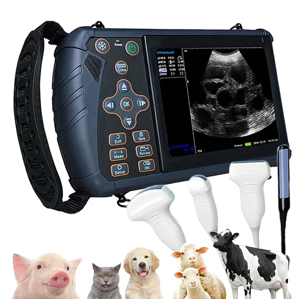 Portable Veterinary Ultrasound Scanner Vet B-Ultra pregnanc Machine Handheld (B, BB, 4B, B+M, M) for Pig Sheep Cattle Horse Dog