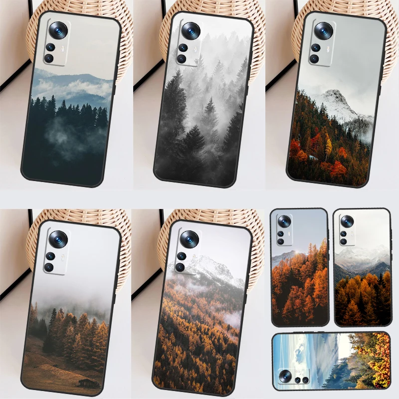 Mountain Forest For… - image