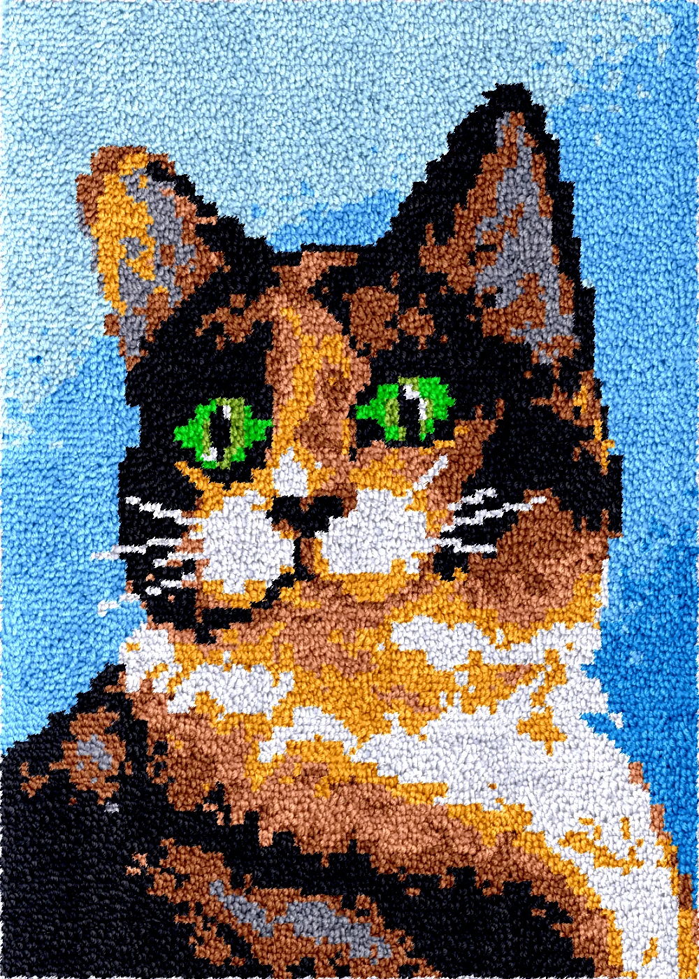 

Diy Latch Hook Cat carpet Pre-Printed Canvas with Velvet Backing Arts & Crafts Latch Hook rugs Kits embroidery plastic canvas