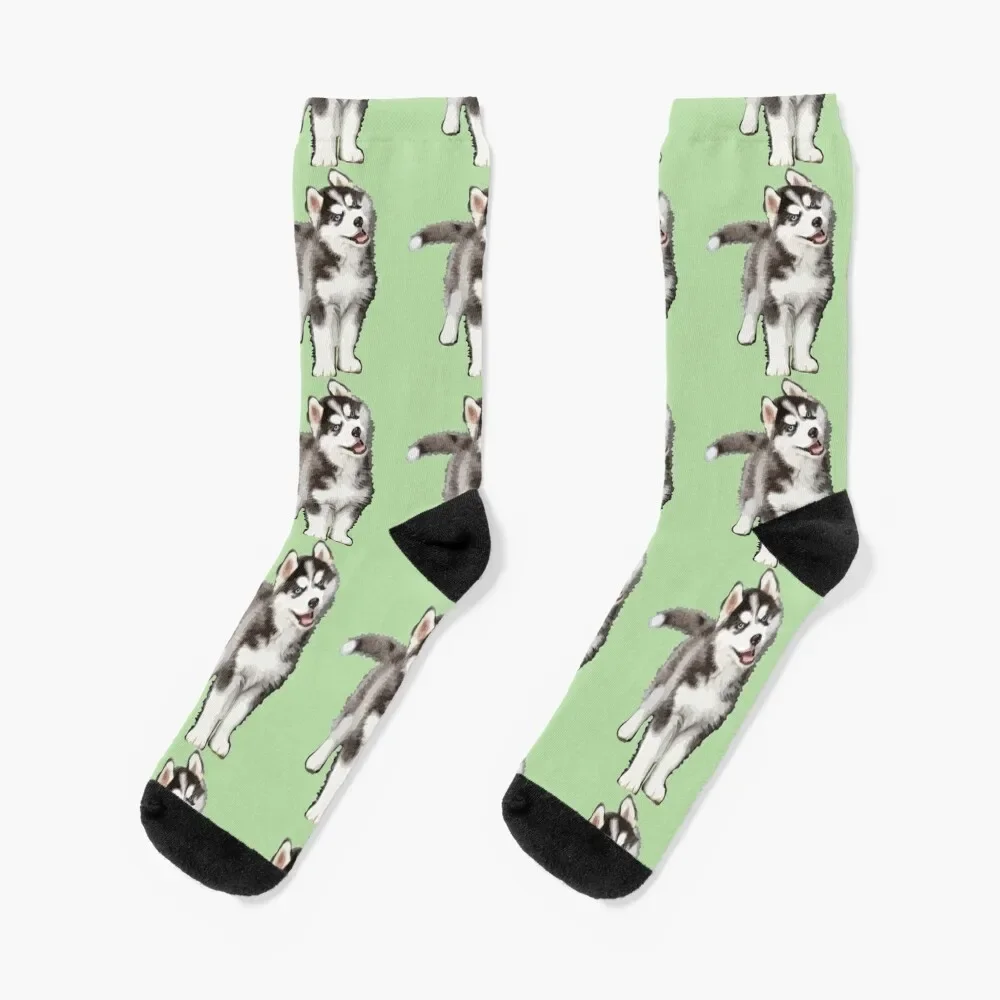 Pomsky Portrait - Pomsky Lover Gift - Cute Puppy Socks snow hockey with print sports stockings Male Socks Women's