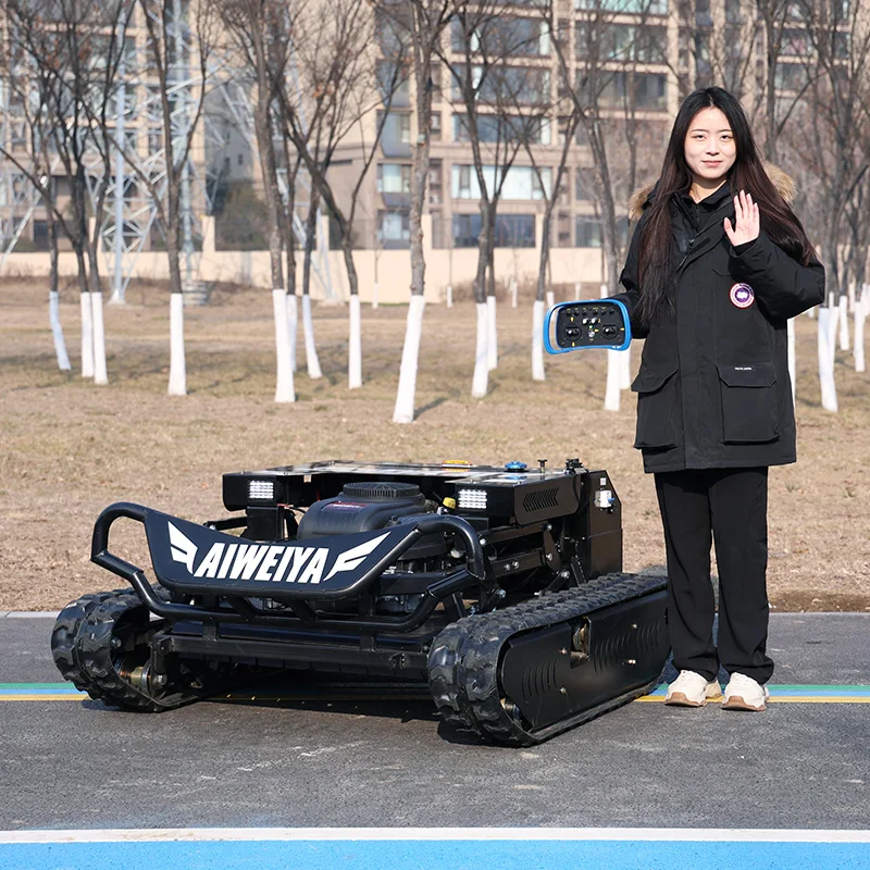 

Customized Available in winter not afraid of severe cold Multifunctional Lawn Mower Remote Light & Lift for EU Professional