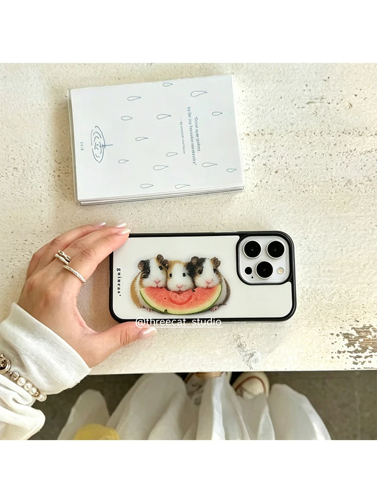 Korean Ins Guinea Pig Eat Watermelon Phone Case For iPhone 17 Air 16 Pro Max 15 14 Plus 13 12 11 Shockproof Silicone Back Cover view 5