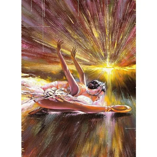 Nova Puzzle Jigsaw Puzzle 1000 Piece Against the Sun Leached Ballerina-Ihar Balaikin