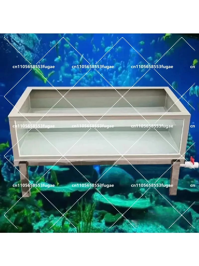 Ornamental Translucent Ultra Clear Glass PP Plastic Turtle Box Large Pet Fish Tank