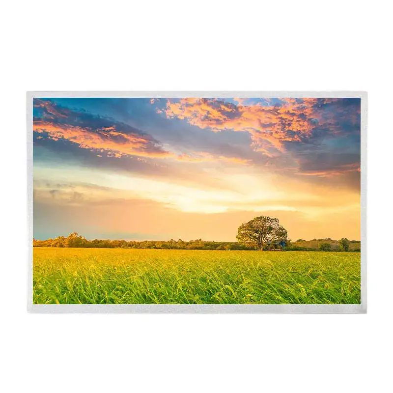 AUO 12.1 Inch Panel G121EAN01.2 LVDS 30 Pins Interface 1280x800 TFT LCD Display RGB Vertical Stripe Transmissive For Industrial