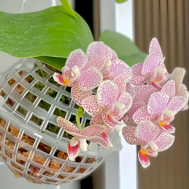 6pcs Modern Plastic Hanging Planter Balls with Drainage Holes, Round Indoor/Outdoor Gardening Accessories for Succulents, Cacti,