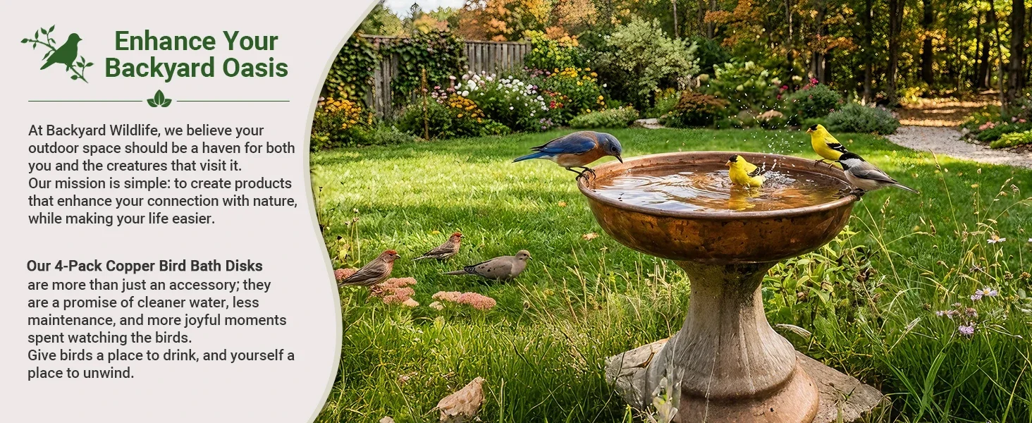 Vogelbad-Kupferscheibe zur Reinigung, Algenprävention und Desinfektion, Reinigungsscheibe aus reinem Kupfer für Vogelbecken im Garten, Zubehör für den Außenbereich. – Detail 1