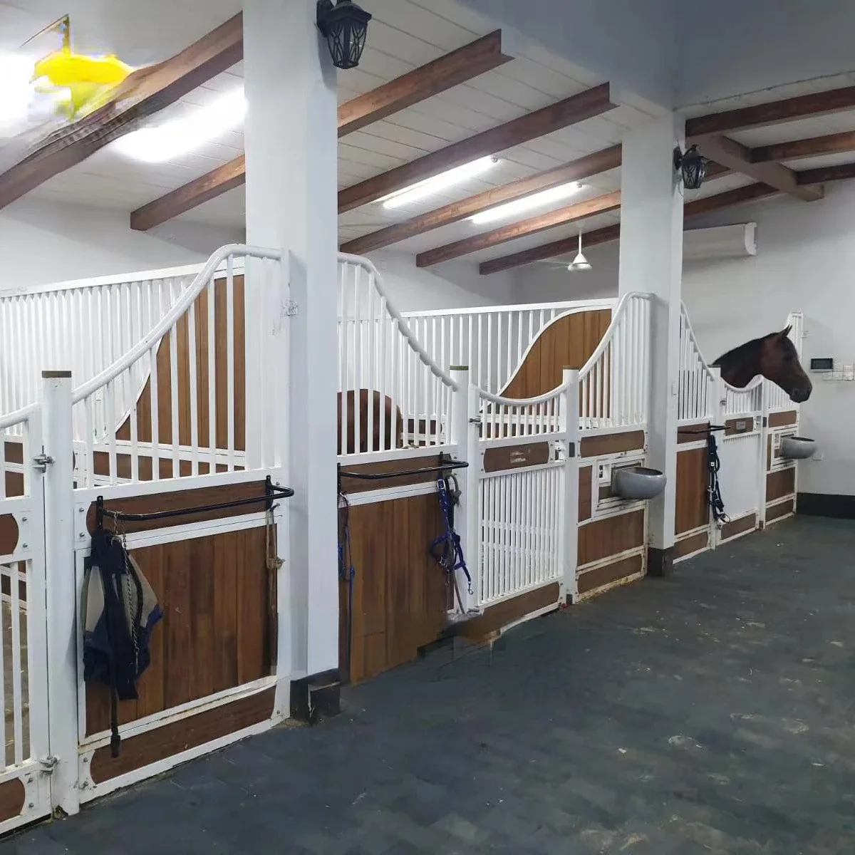 10FT Galvanized Steel Real Bamboo Portable Horse Stable Fronts Customized Classic Nice Curve