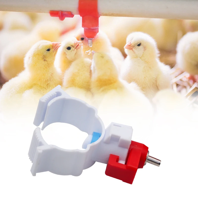 5/10/20 Pcs Chicken Drinker with Buckle Poultry Drinking Spout Chicken Coop Dovecot Spiral Drinker 360 Angle Poultry Supplies