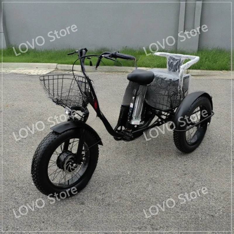 

Powerful Lithium Battery Removable 20-Inch 3-Wheel Electric Tricycle with Passenger Seat,