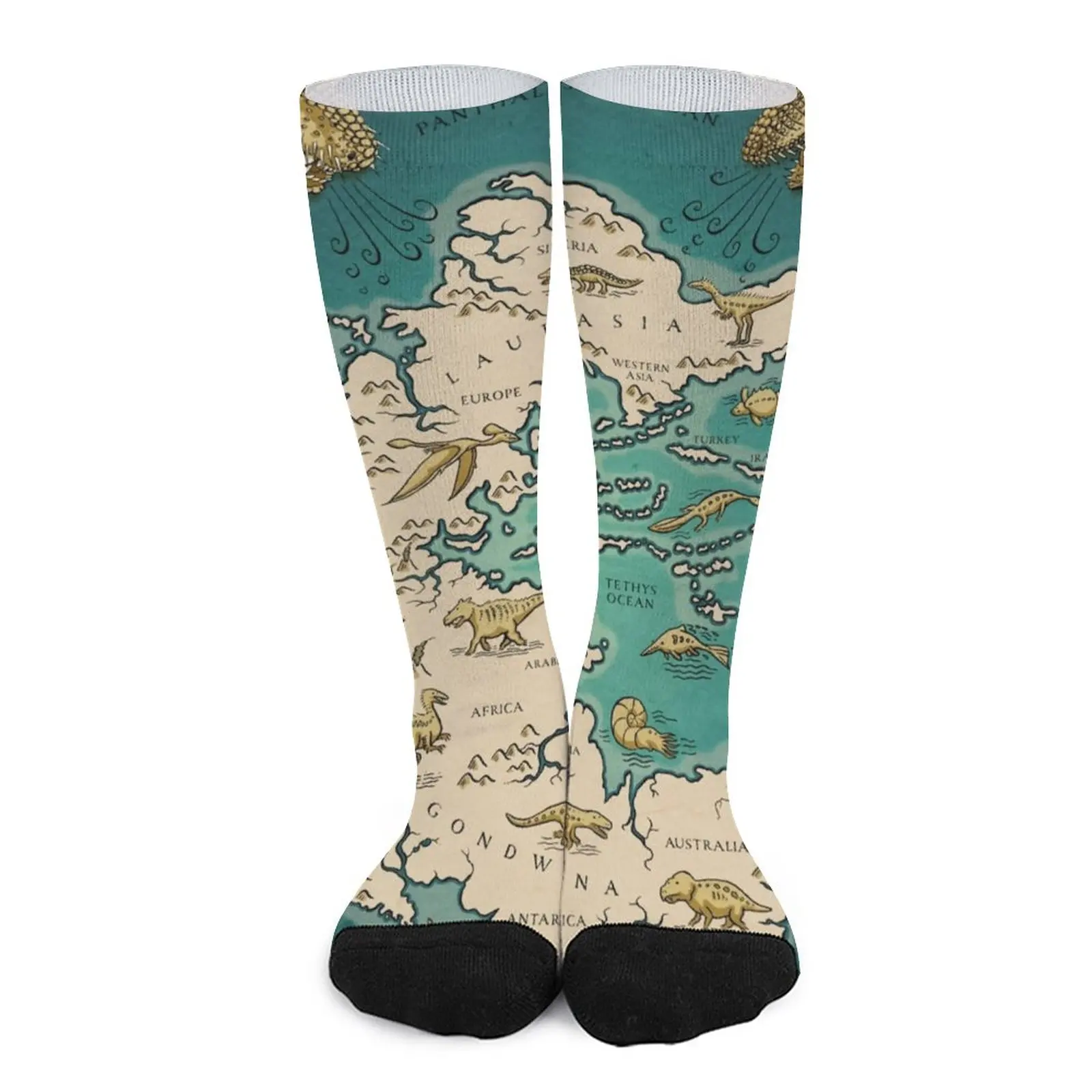 Vintage Map Socks Autumn Supercontinent Pangaea Stockings Fashion Couple Breathable Socks Design Sports Anti Bacterial Socks