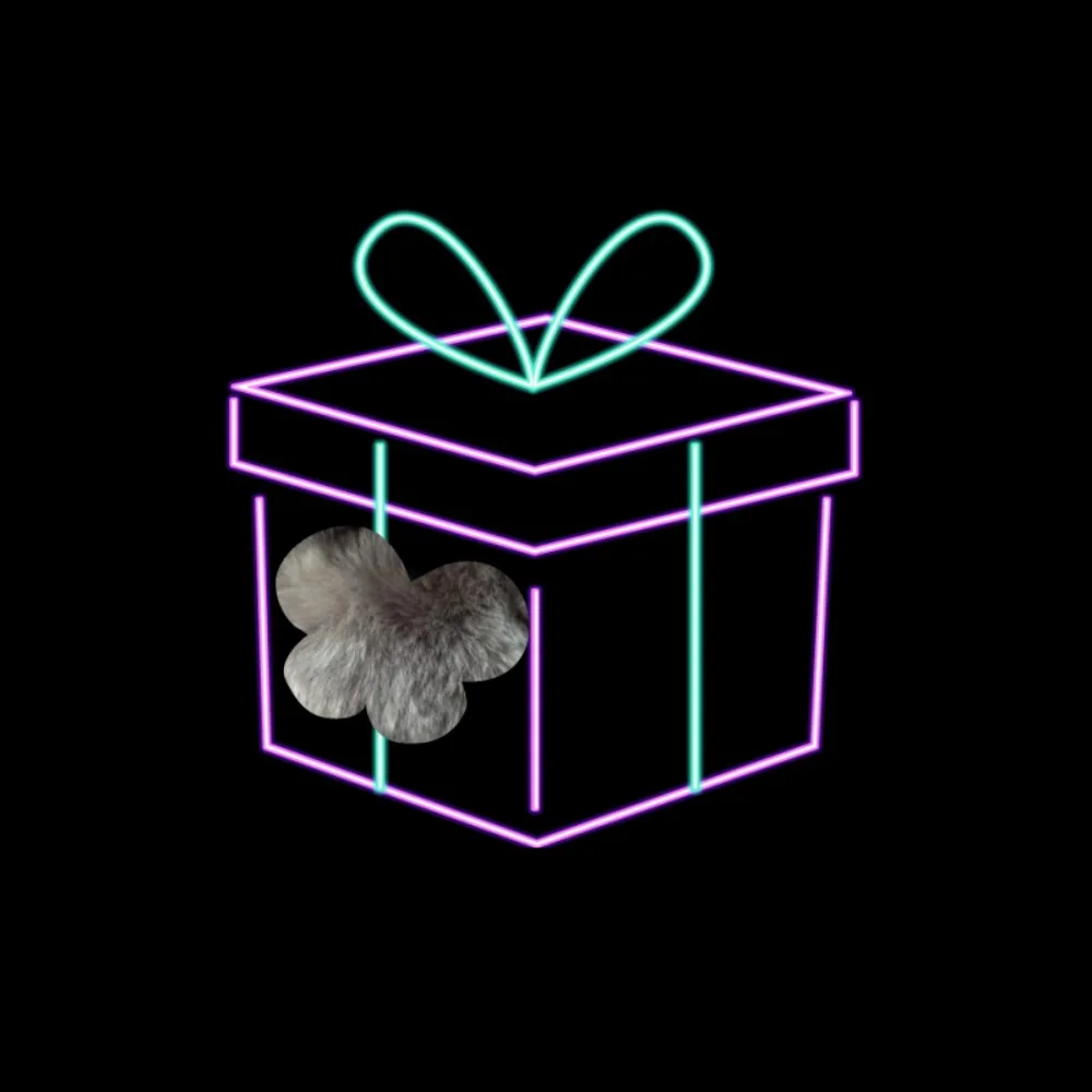 Boîte aveugle de dessin animé mignon, cadeau de décoration de noël, nouvelle boîte aveugle, porte-clés, breloque, jouet Surprise