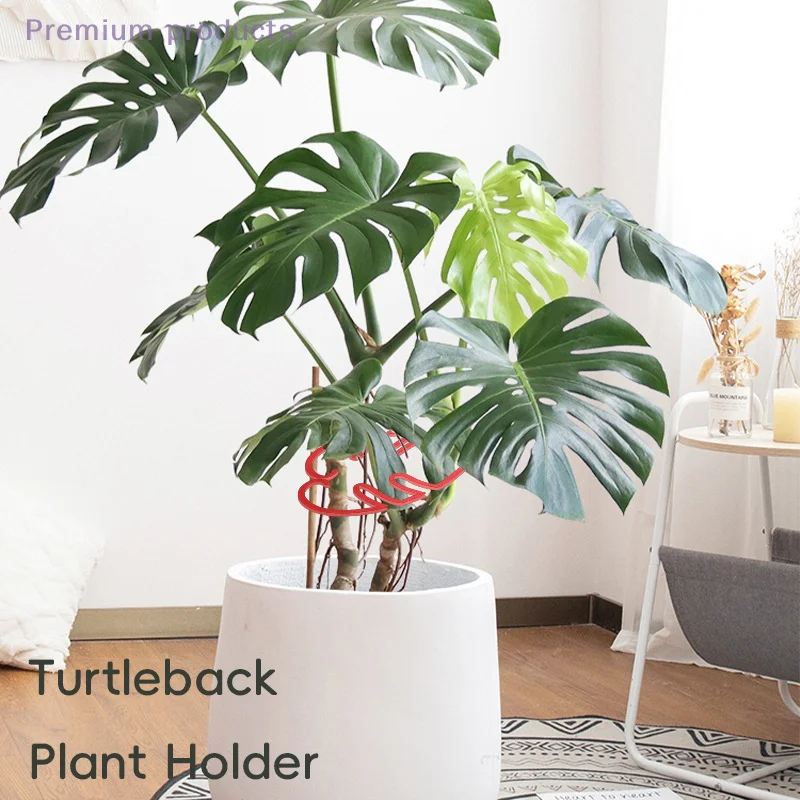 

Flower Leaf Retaining Clip Turtle Shell Bamboo Clamp Reusable Plastic Plant Stem Support Holder Plant Retaining Support