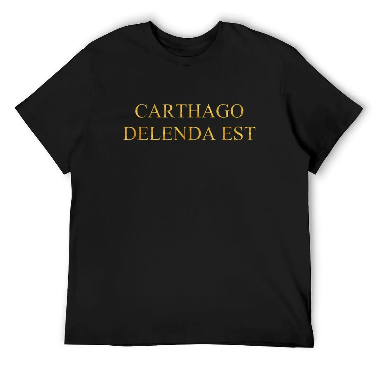 

Carthago delenda est/Carthage must be destroyed (gold) T-Shirt custom t shirt vintage clothes Men's t shirts