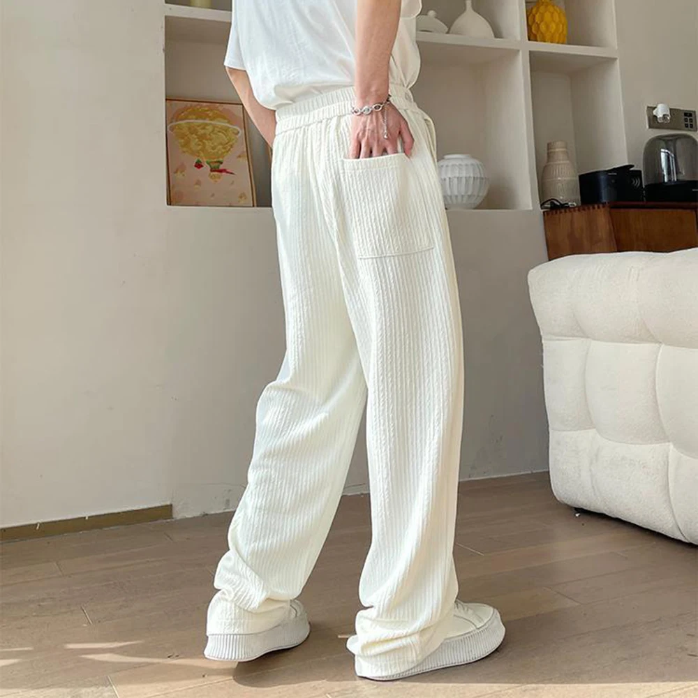 Mens Casual Pants Ice Silk Texture Straight Pants Light Breathable Simple Solid Color Soft Campus Trousers Men'S Clothing 2024