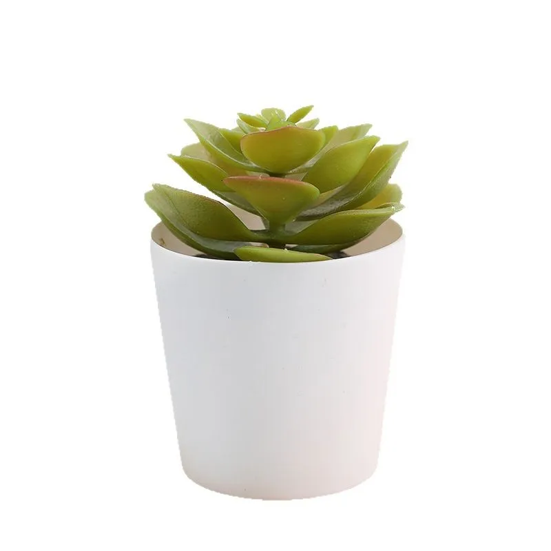 1 قطعة نباتات خضراء البلاستيك ورد صناعي نباتات بونساي عصارية صغيرة دائمة الخضرة بونساي الصبار ديكور بلاستيكي عصاري #2