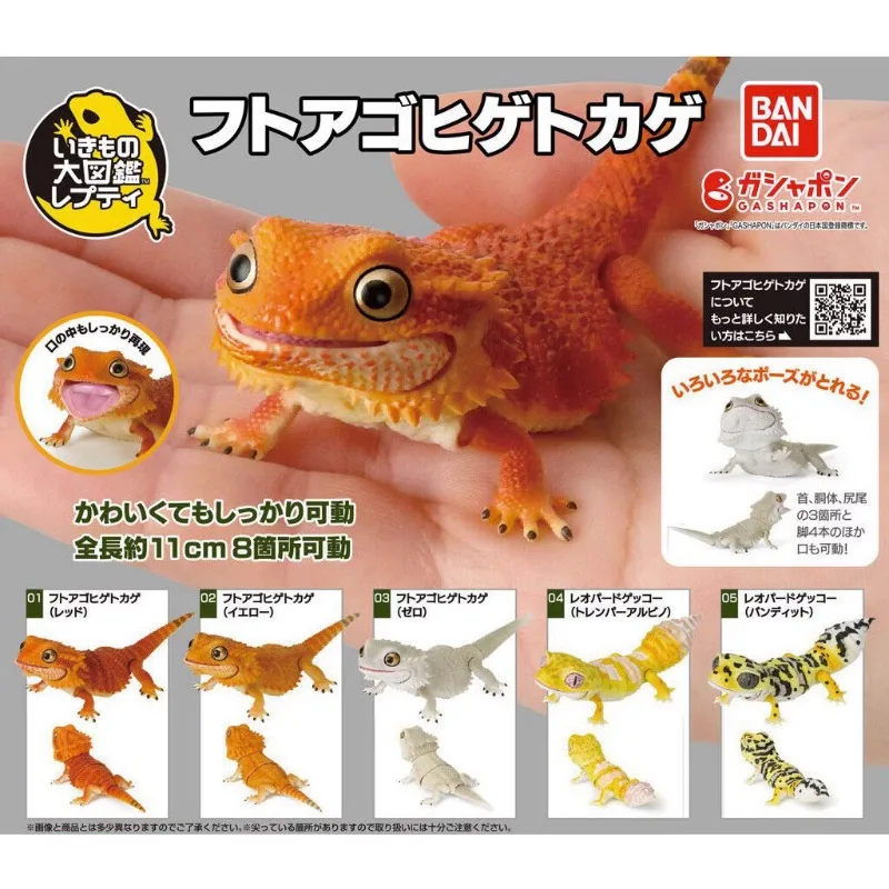 Bandai Original Japan Gashapon Figure Anime Cute Simulation Reptile Gecko Lizard Kawaii Figurine Gacha Capsule Toys