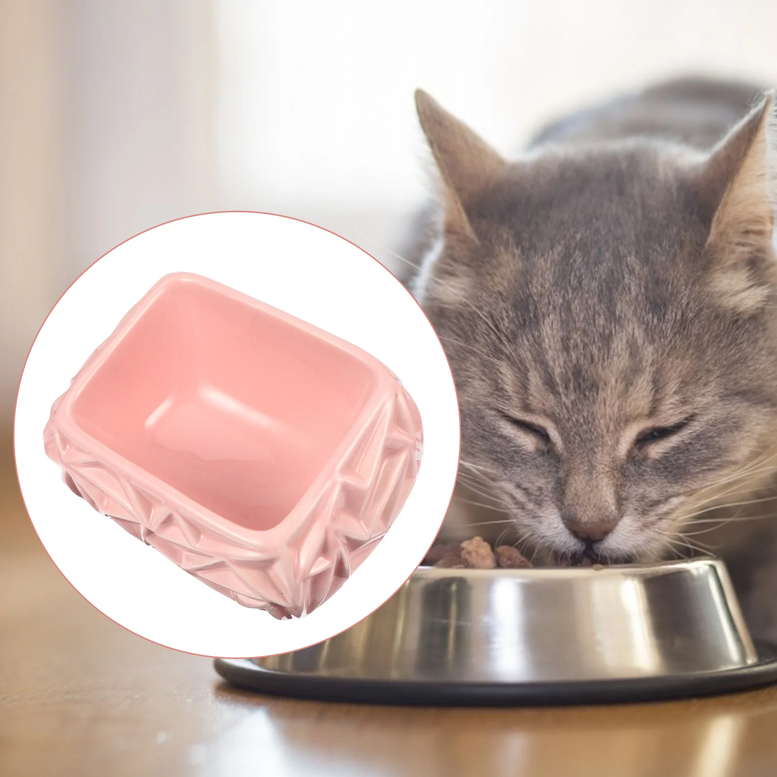 

Ceramic Cat Feeding Bowl Tilted Design Small Dog Kitten Feeder Odorless Food Safe Ceramic Bowl Comfortable Pet Dining