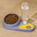 Púrpura