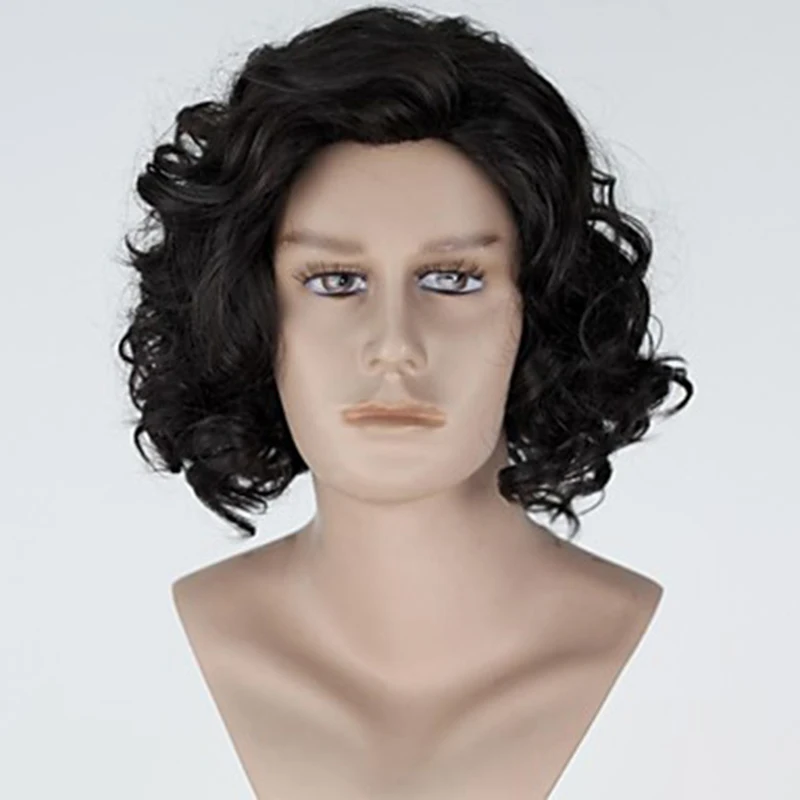 HAIRJOY  Synthetic Hair Wigs  Brown Short Curly Layered Wig  for Men