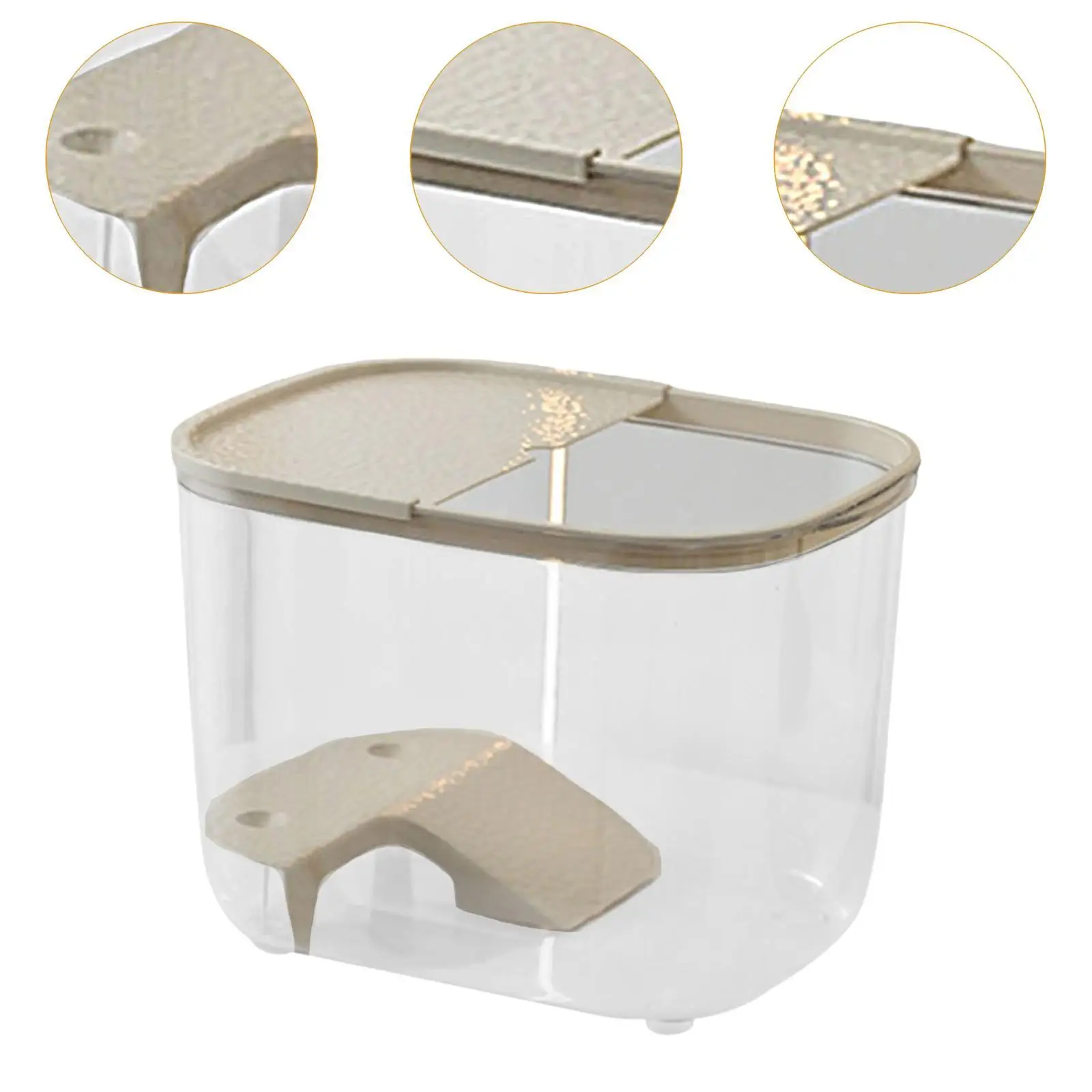 منصة الفرح السلحفاة خزان الزواحف سلم فيلا متعددة الأغراض تسلق منحدر السلحفاة يستريح شرفة للزواحف الصغيرة الضفدع #5