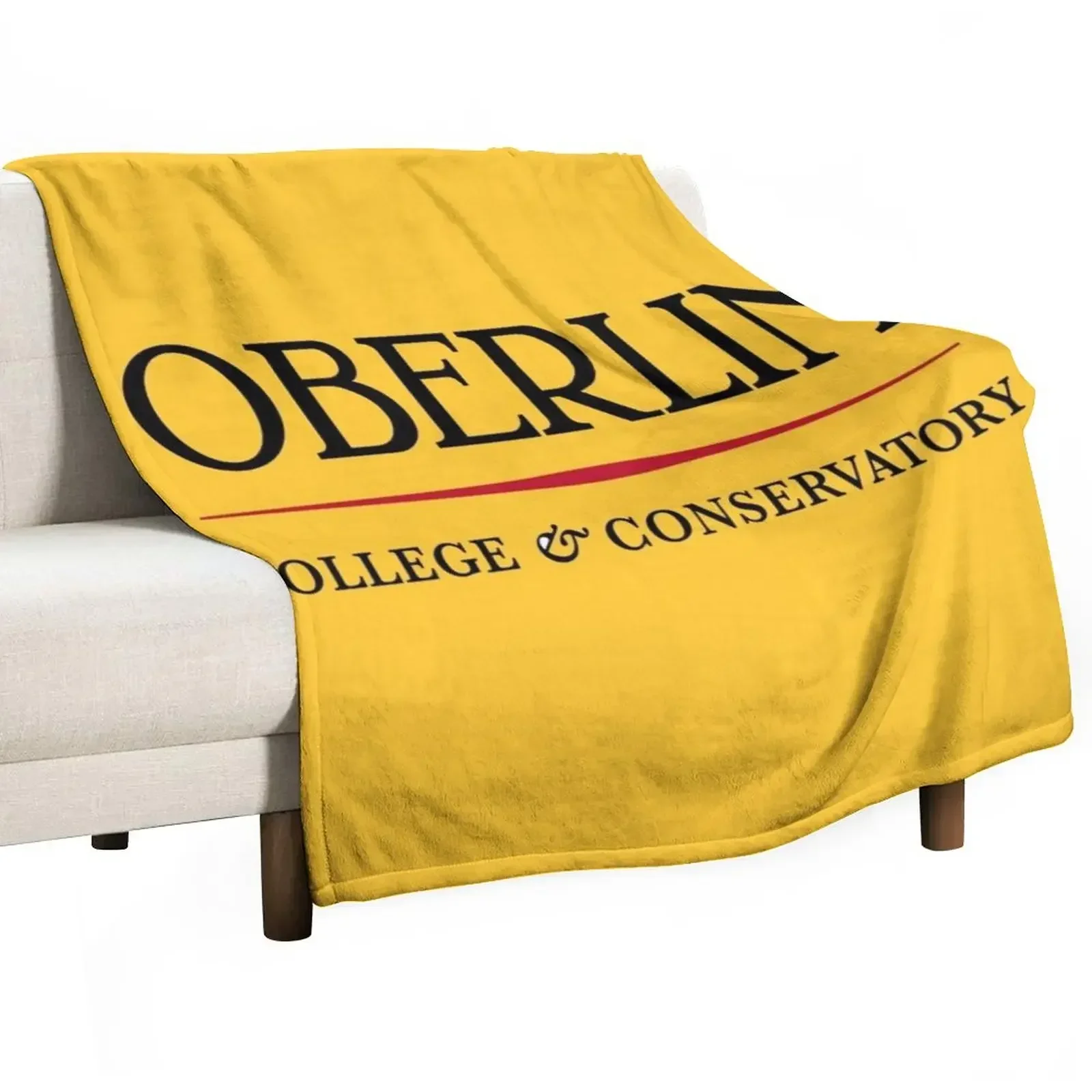 

The Oberlin Throw Blanket Luxury Throw Plush Decorative Sofa Decorative Throw Blankets