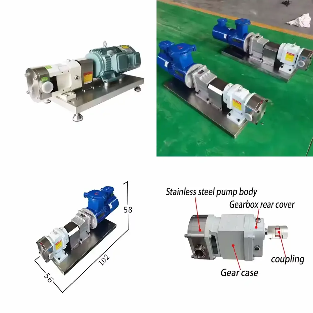 Sanitary Stainless Steel 304 Filling Machine Transfer Rotor Pump High High Viscosity Honey Chocolate Miniature Gear Pump
