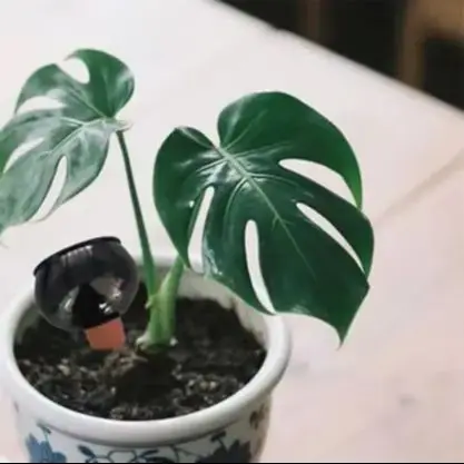 

Глобус для полива, автоматический матовый капельный полив, капельница для воды с медленным высвобождением, таймеры полива сада, управление ирригацией