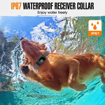 10 best sales קולר נביחות כלבים - №4