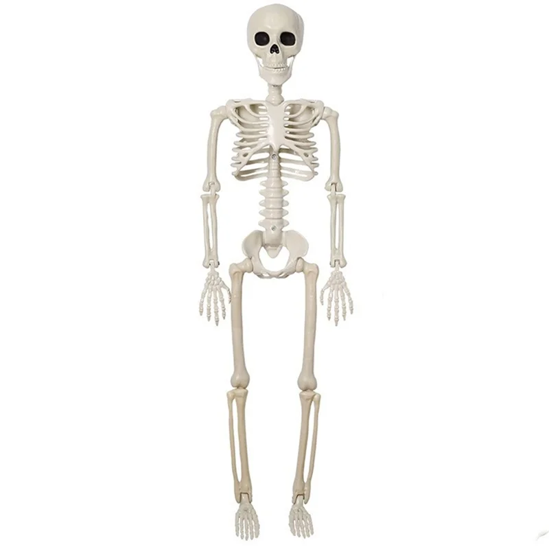 AT84-Halloween Skeleton Decoration, Posable Full Body Skeleton With Movable Joints, Spooky Prop For Yard, Garden, Lawn, Patio