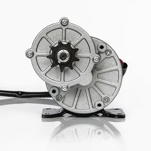 My1016Z2-Pasten DC DC-Zahnradmotor, elektrischer Dreiradmotor, Fahrradmotor, 250 W, 12 V, 24 V 10 Hauptverkaufs -Elektromotor für Dreirad - №9