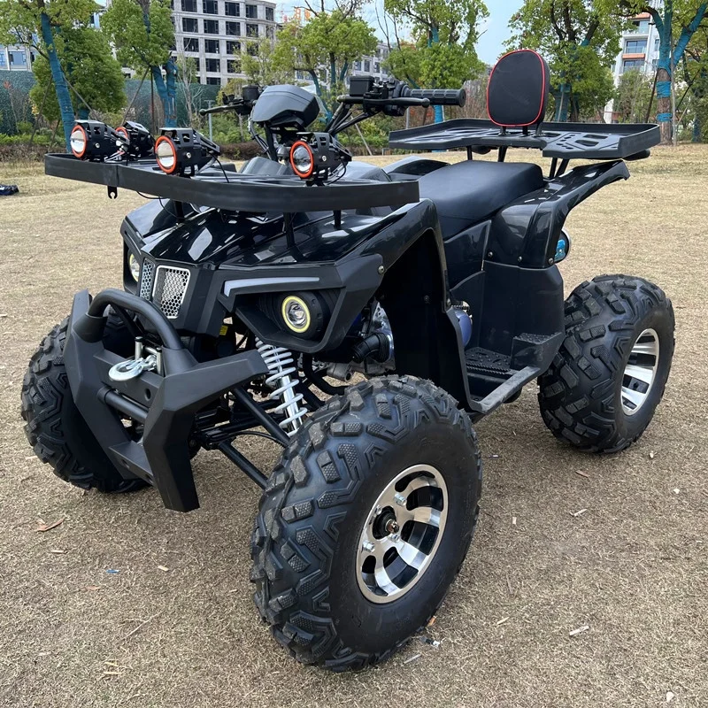 

4 Wheeler 200cc Automatic Chain Drive Quad Bike ATV for Adults with CE
