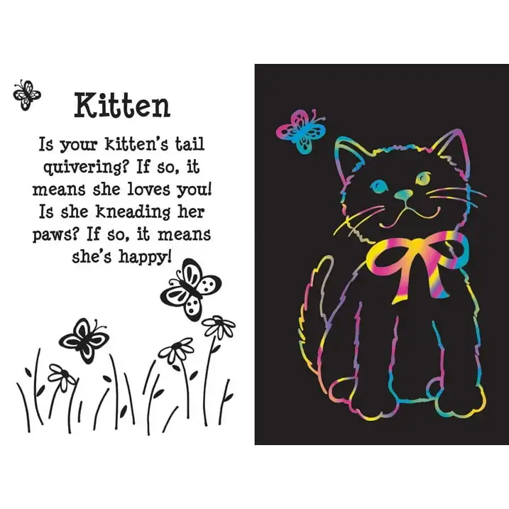 Furry Friends Scratch and Sketch, Furry Friends