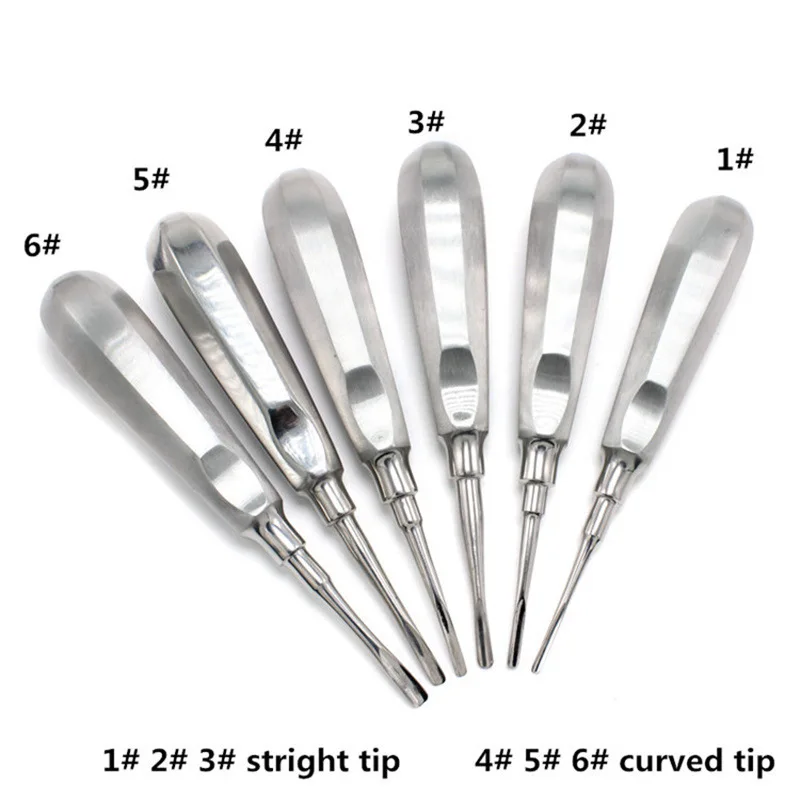 1 Piece of Stainless Steel Teeth with Straight Root Tips, Straight Teeth, and Curved Teeth