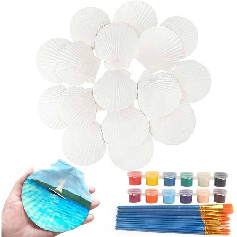

A7THK-Scallop Shells Seashell от 4 до 5 дюймов, большие гребешки с кисточками и полосками акриловой краски для декора поделок