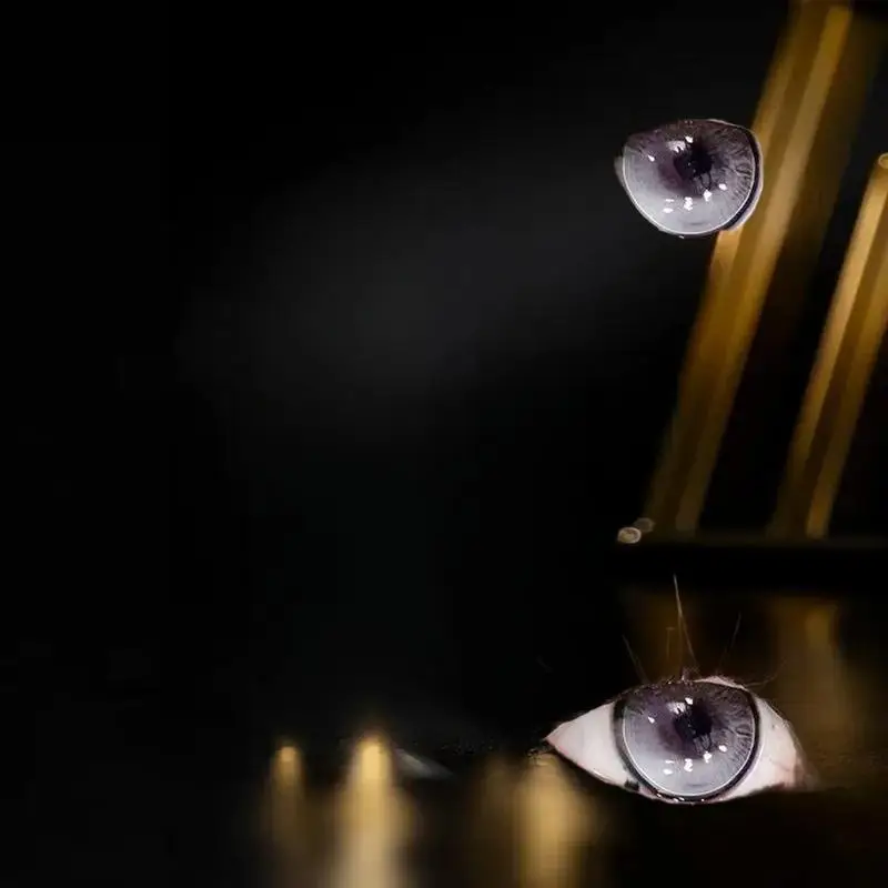 ขนตาปลอมแบบ DIY ไม่ต้องใช้กาว ขนตาปลอมธรรมชาติ ขนตาปลอมสไตล์มังงะ ขนตาปลอมนุ่ม สำหรับแต่งหน้าประจำวัน