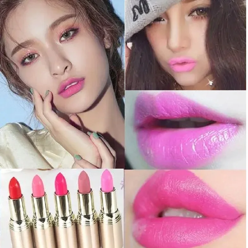 Pink Matte Lipstick Waterproof 24 hours Long Lasting Red Lipsticks Resistant Rose Lip Tint Velvet Lipstic Cosmetic Women Makeup