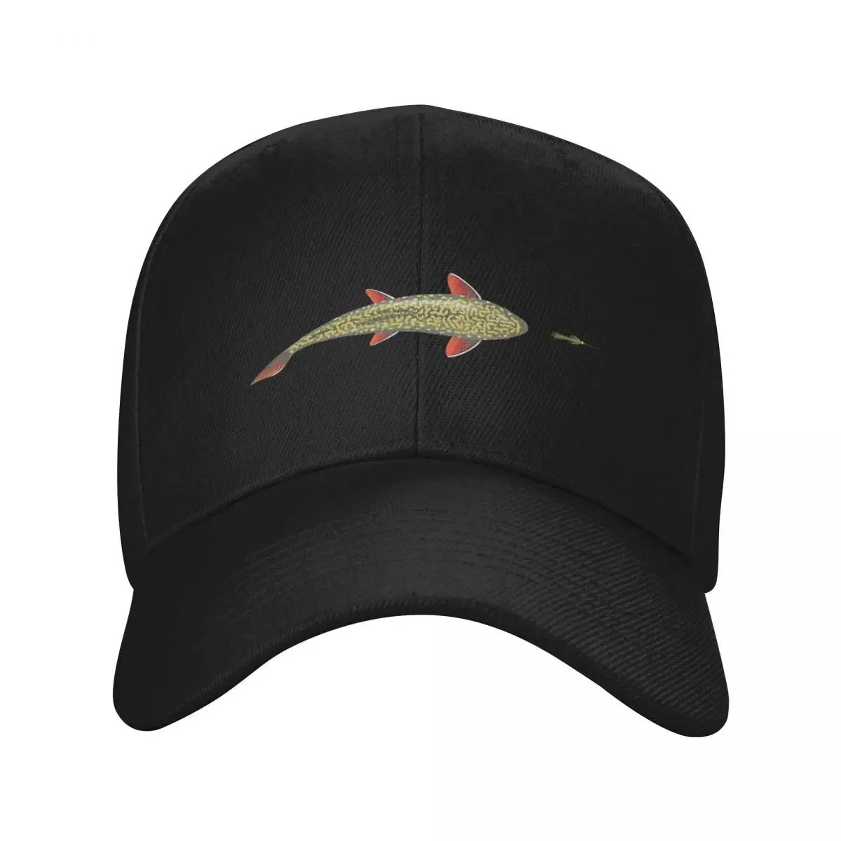 Brook From Above Baseball Cap fishing hat Golf Hat Man Christmas Hat Women Men's