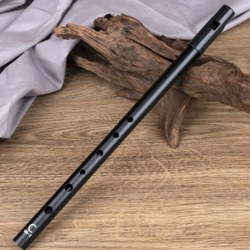 

Professional 6 Holes Recorder C/D Key Metal Irish Flute Adult Students High Pitch Whistle Portable Blowing Wind Flute Instrument