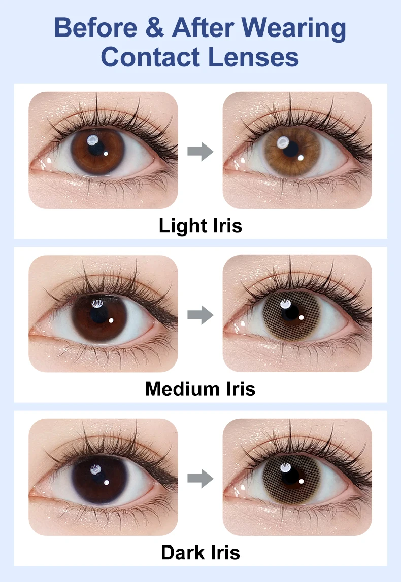 (0,00~-6,00) MAGISTER 14,0mm Kleindurchmesser-Kontaktlinsen mit Dioptrien Farbige Kontaktlinsen für Augen-Make-up 6 Monate – Detail 5