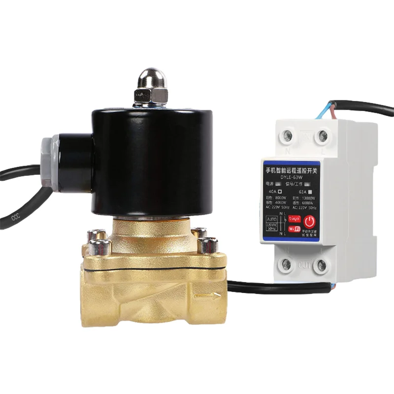 24V 220V Wifi Smart Remotely Control Solenoid Valve on the Mobile Phone WIFI Brass Solenoid Valve Water Valve