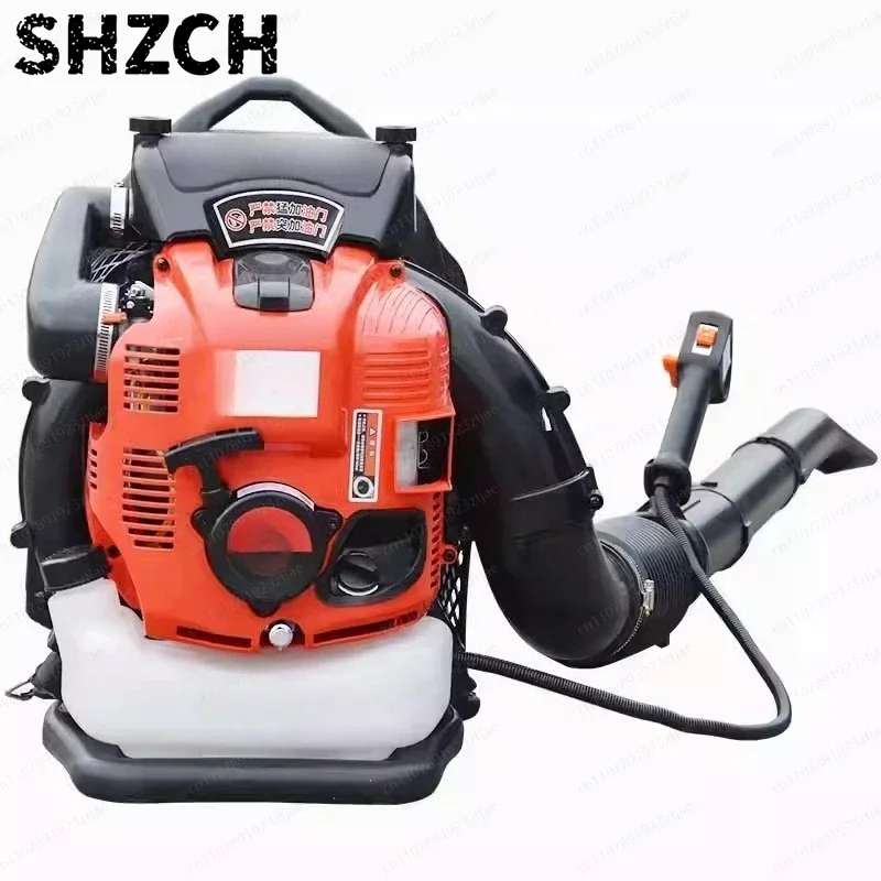 leaf cleaning construction site high power  hair dryer snow blower