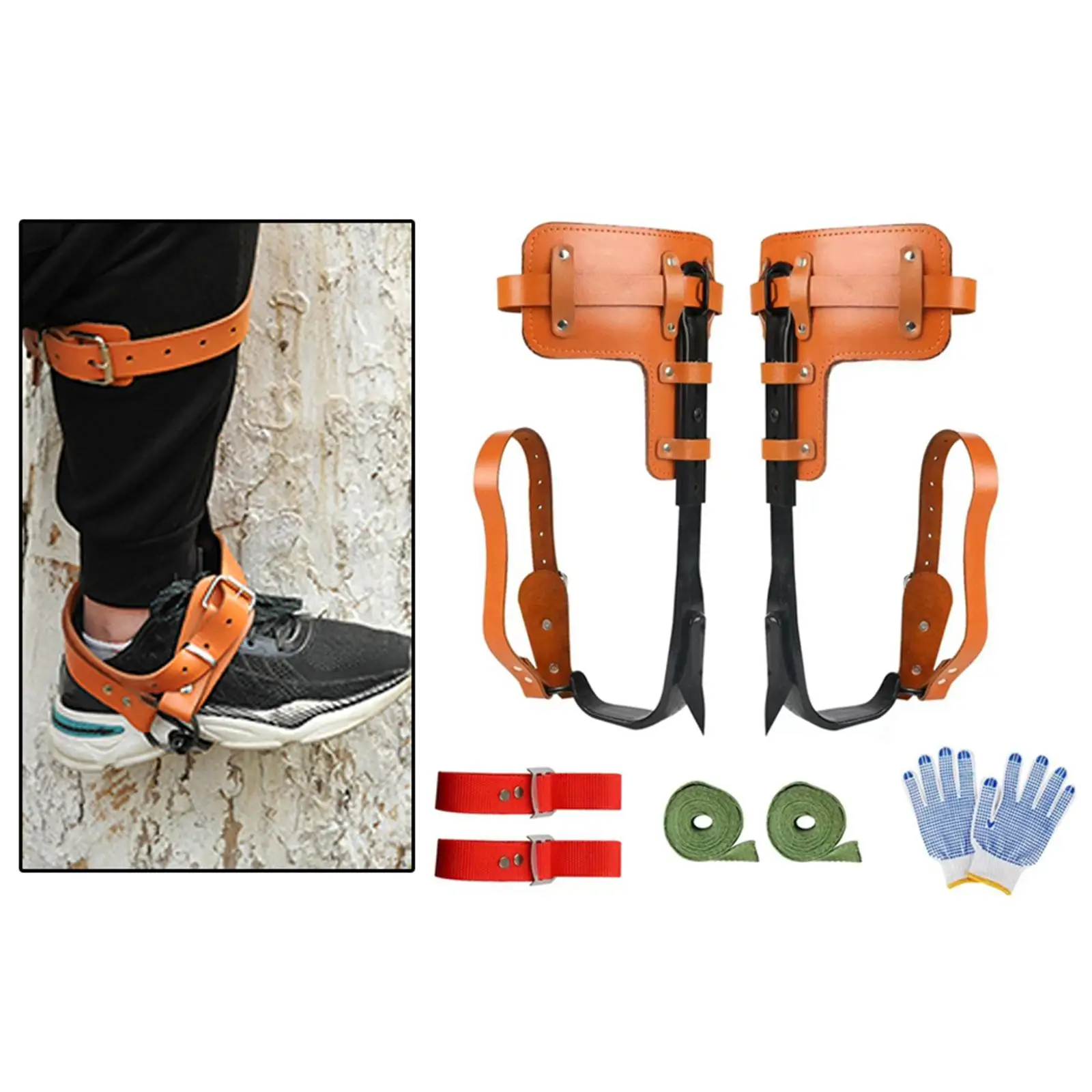 Tree Climbing Spike Stainless Steel Straps Tree Climbing Gear Tree Spikes for