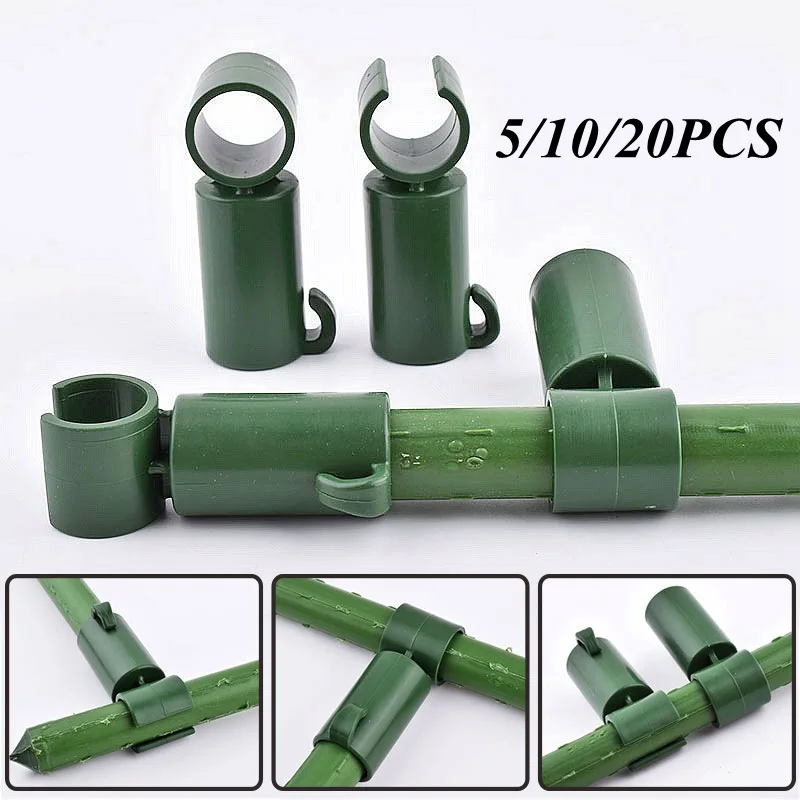 5/10/20Pcs Plant Gr…