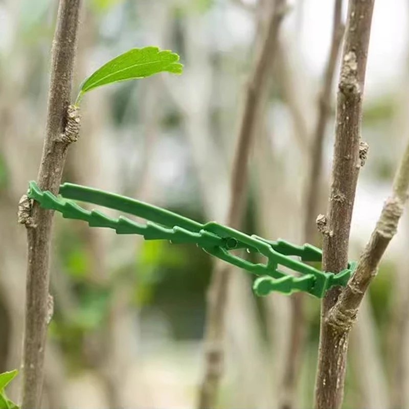 

50 шт. регулируемые пластиковые кабельные стяжки для растений, многоразовые кабельные стяжки для садового дерева, опоры для восхождения растений, лозы, зажим для стебля томатов