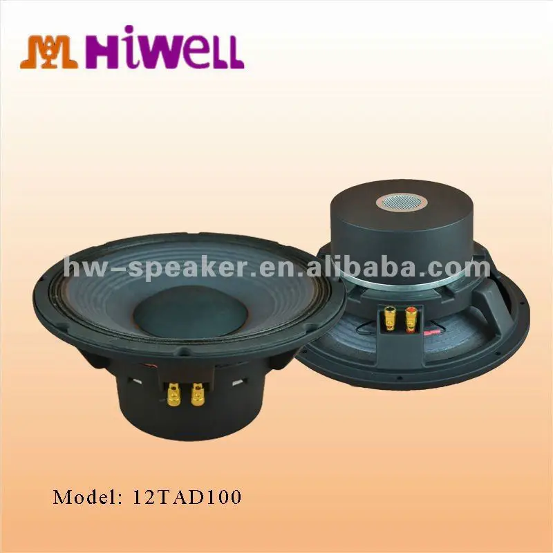 4inch 300W Rated Powered Pro Bass Speaker