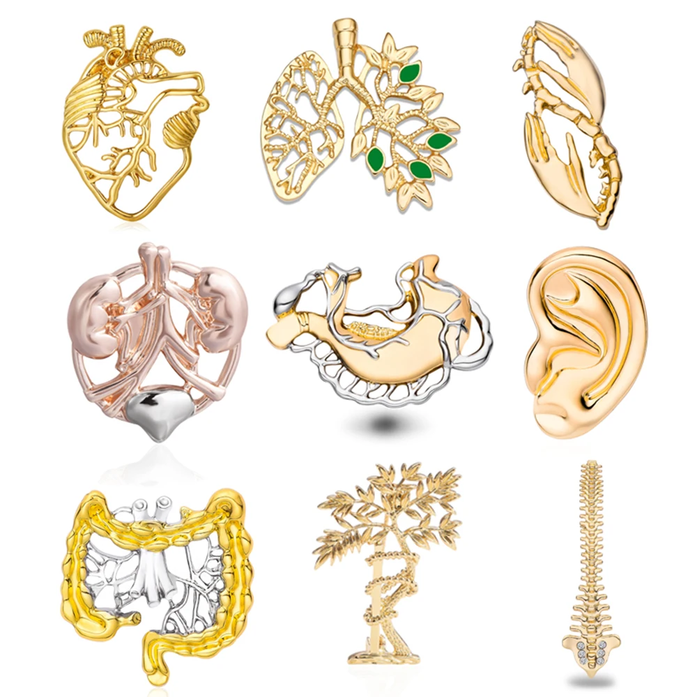 Medsor Human Organ Brooches Fashionable Mini Internal Organs Pin Alloy Enamel Badge Jewelry Gifts For Doctors And Nurses