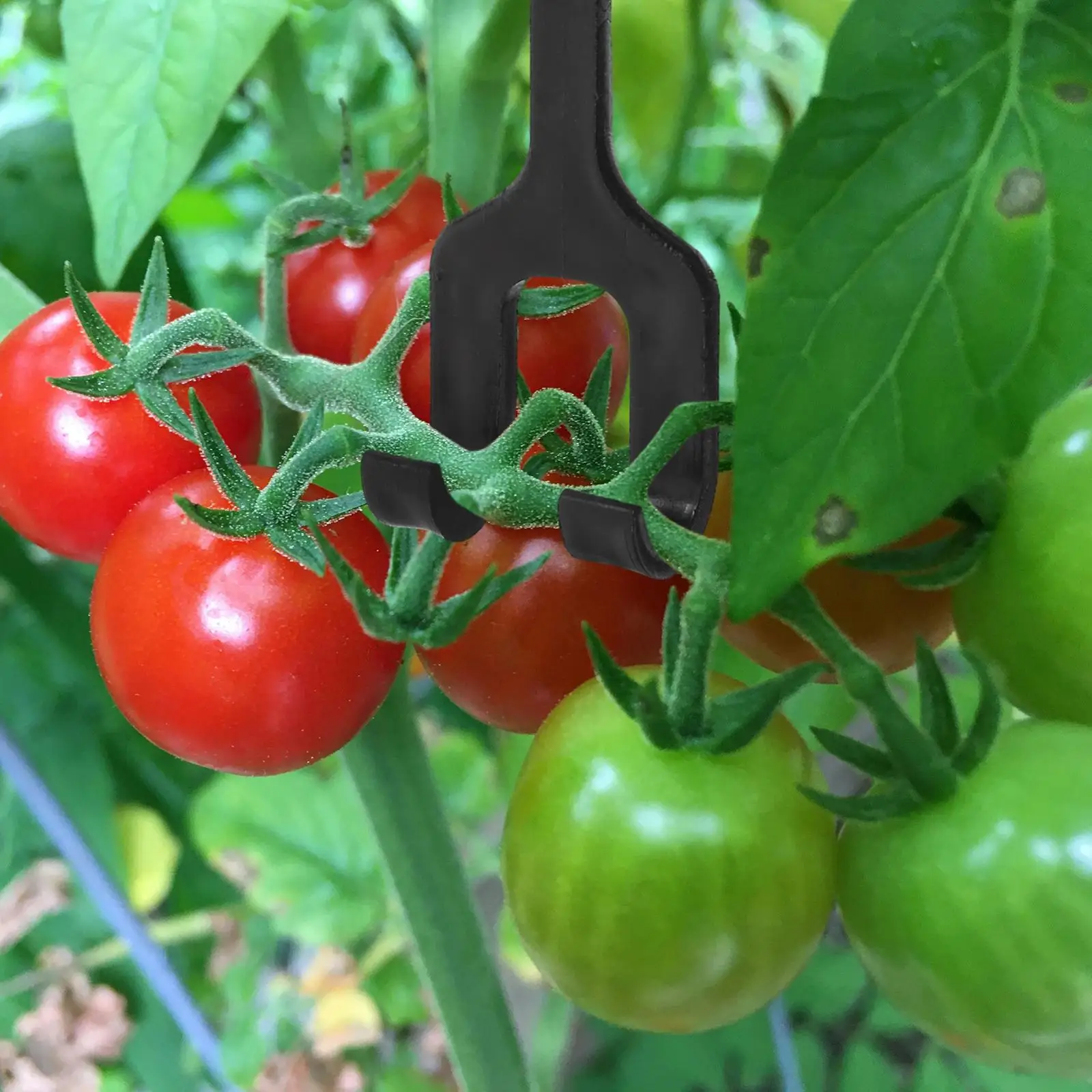 

50pcs Melon Support Hooks Cantaloupe Watermelon Heavy Duty Plant Hangers Tomato Pepper Cucumber Hooks Clamps Plants Suppor