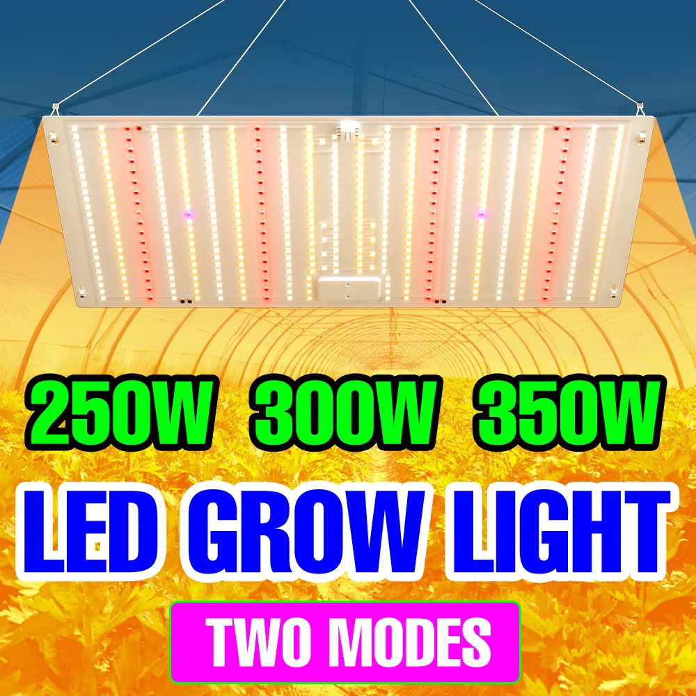 

350W LED Full Spectrum Grow Light 220V Quantum Board Plant Fill Lights Greenhous Tent Bonsai Cactus Vegs Hydroponics Lighting