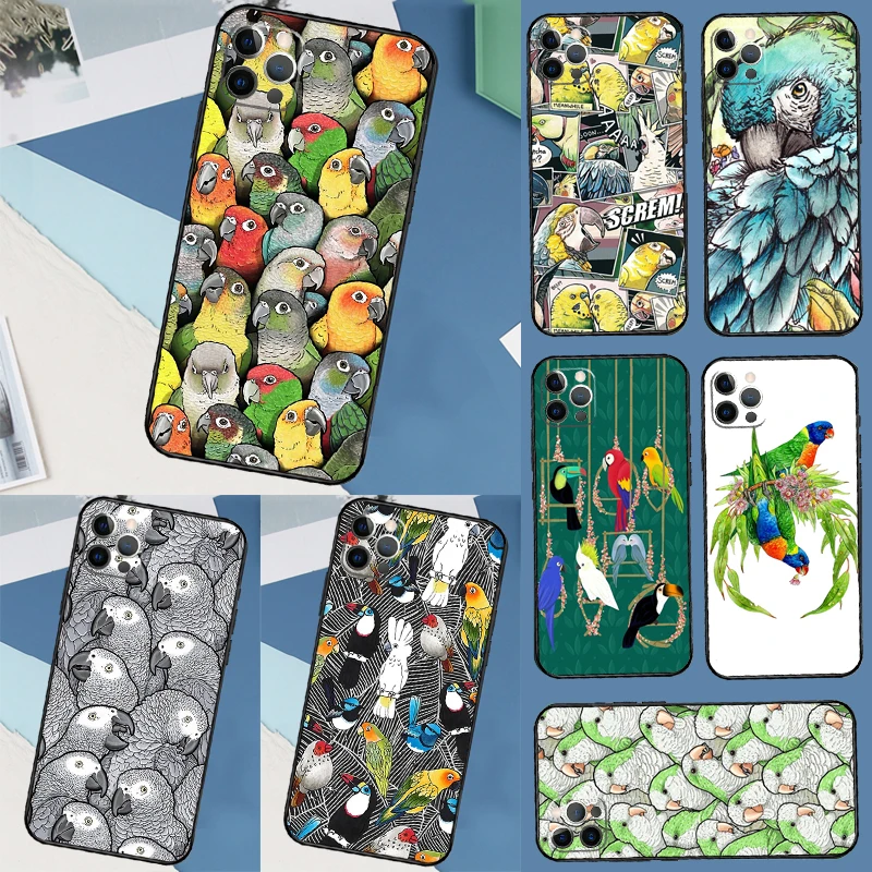 Colorful Parrots Ca… - image